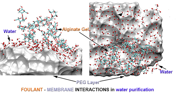FOULANT - MEMBRANE INTERACTIONS in water purification
